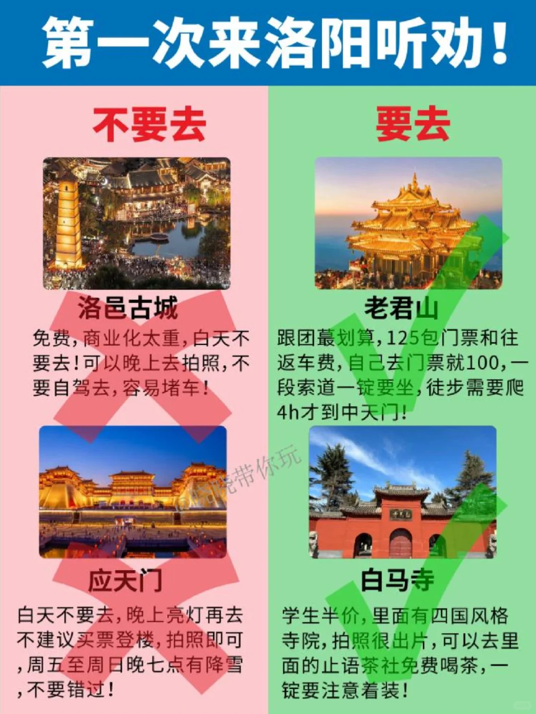 洛阳首游，听劝！主打一个听话照做