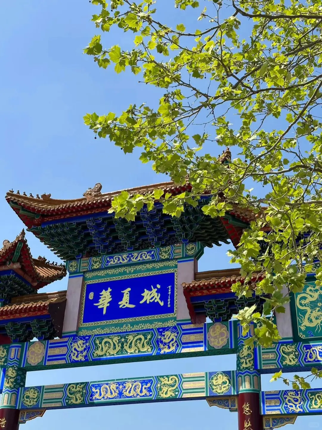 🌸599威海3天2晚 没有比这更省心的行程了✨