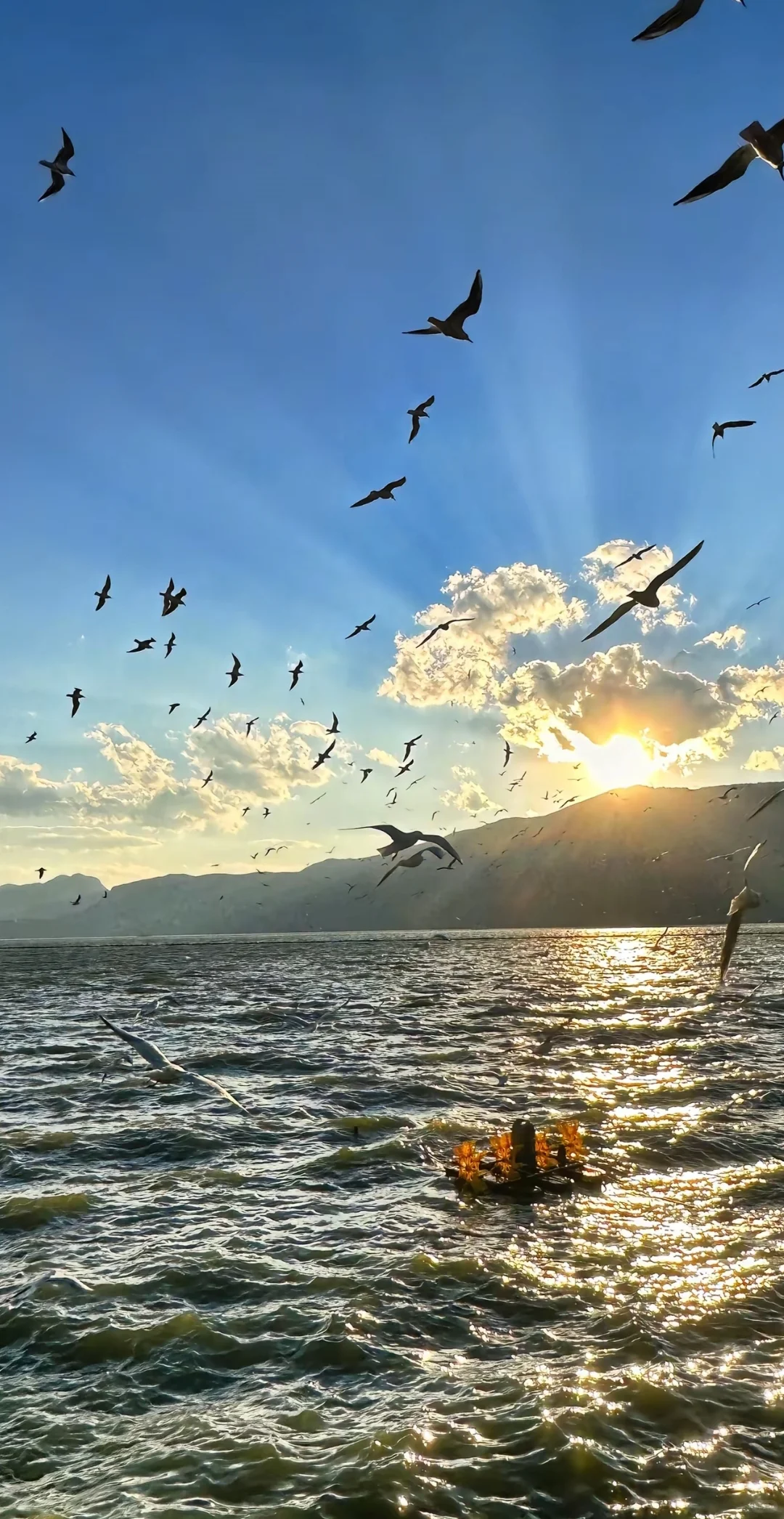 🔥免费旅行Battle，谁更会玩？