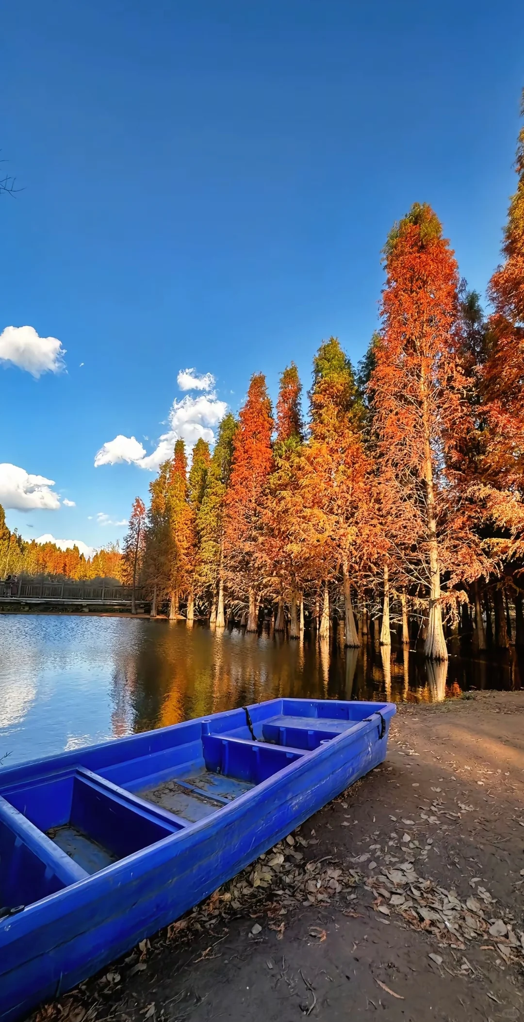 🔥免费旅行Battle，谁更会玩？