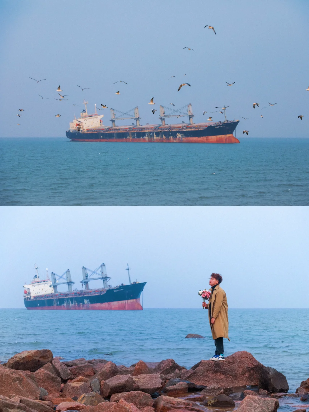 以为青岛已经很美了,直到我去了威海……