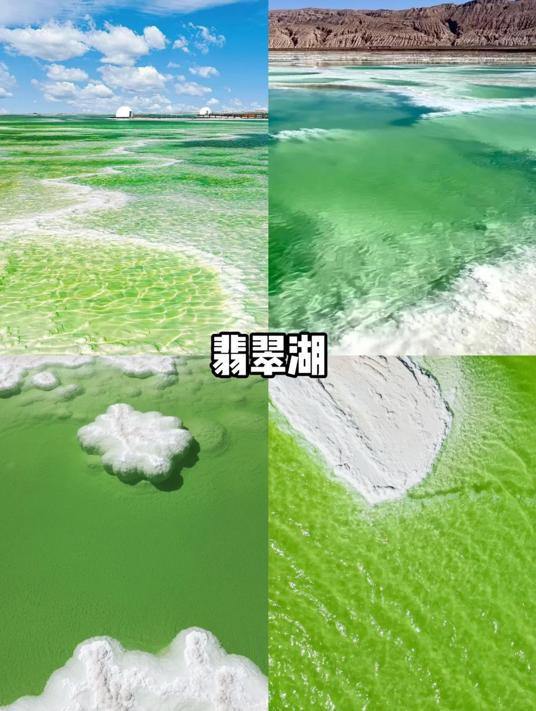 大西北！！！