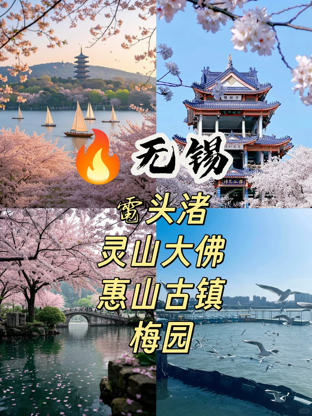 🔥高铁1.5h直达！山东周边这6个小众小城