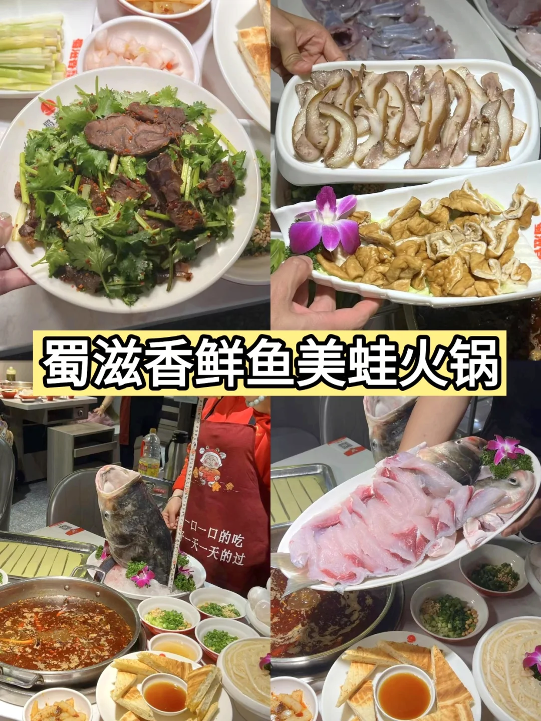 成都旅游前必看！必去的12大热门景点