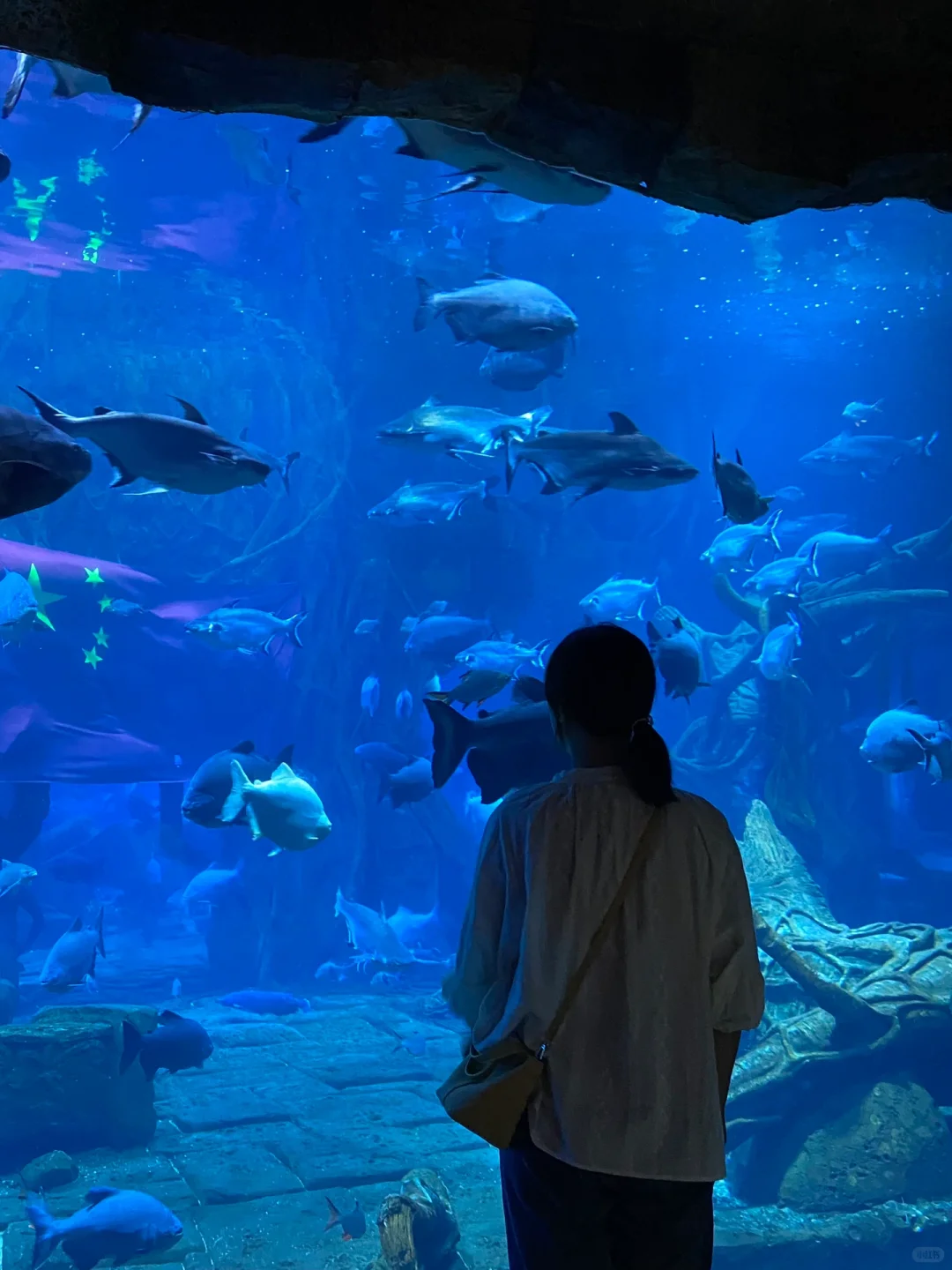 逃离邯郸计划！