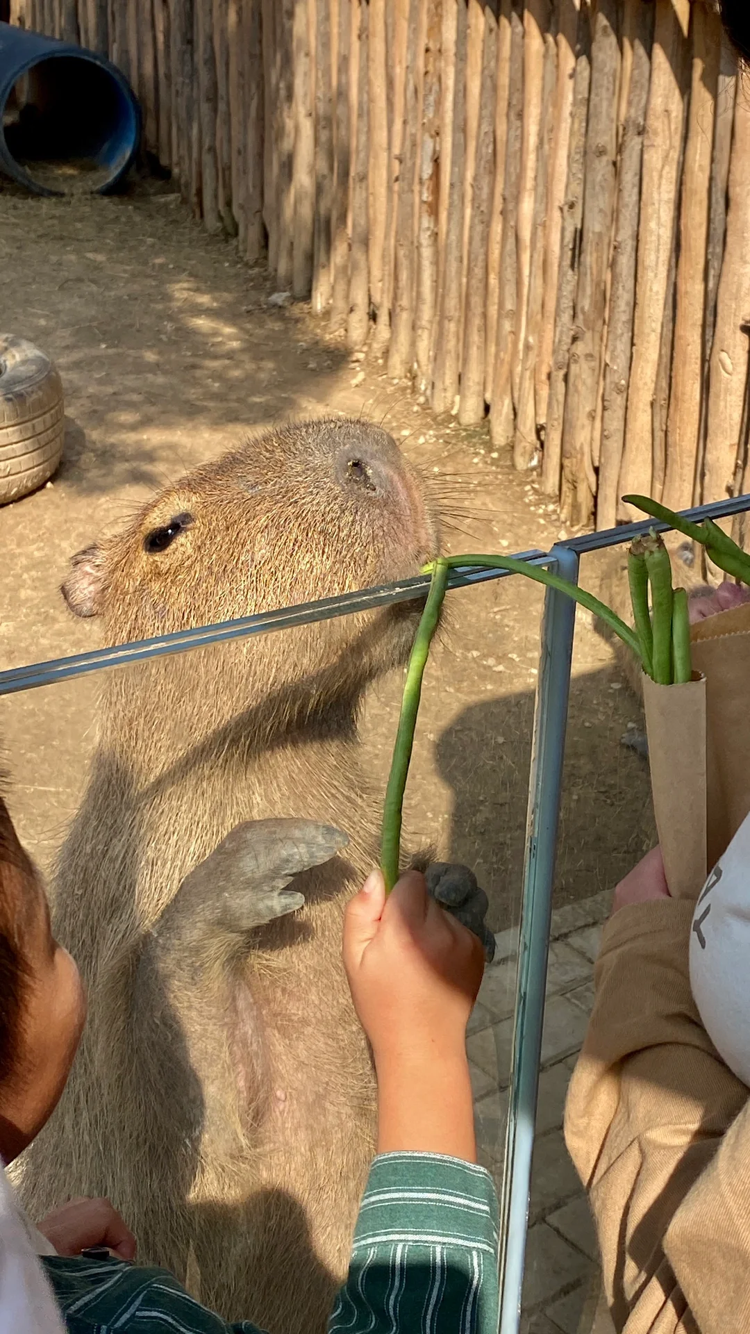 逃离邯郸计划！