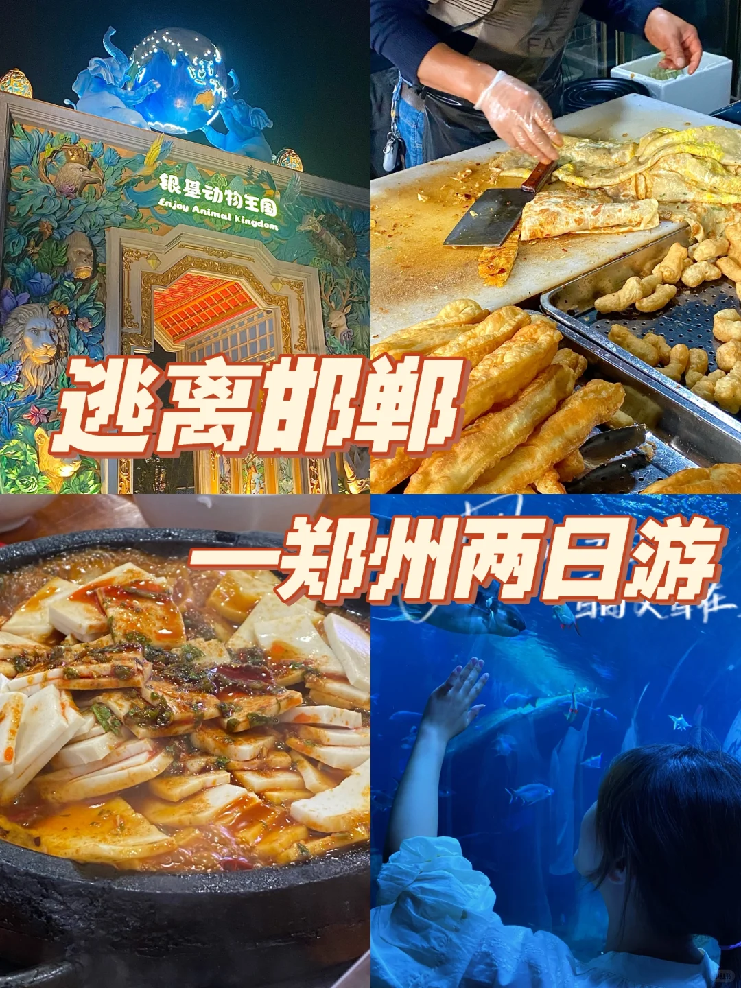 逃离邯郸计划！