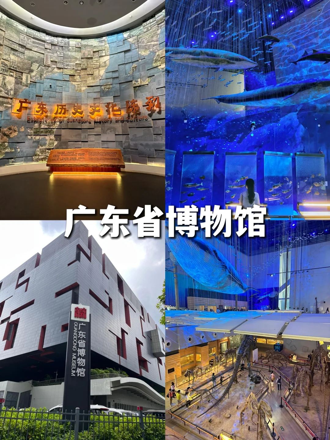 外地朋友看过来‼️广州必去9大景点攻略