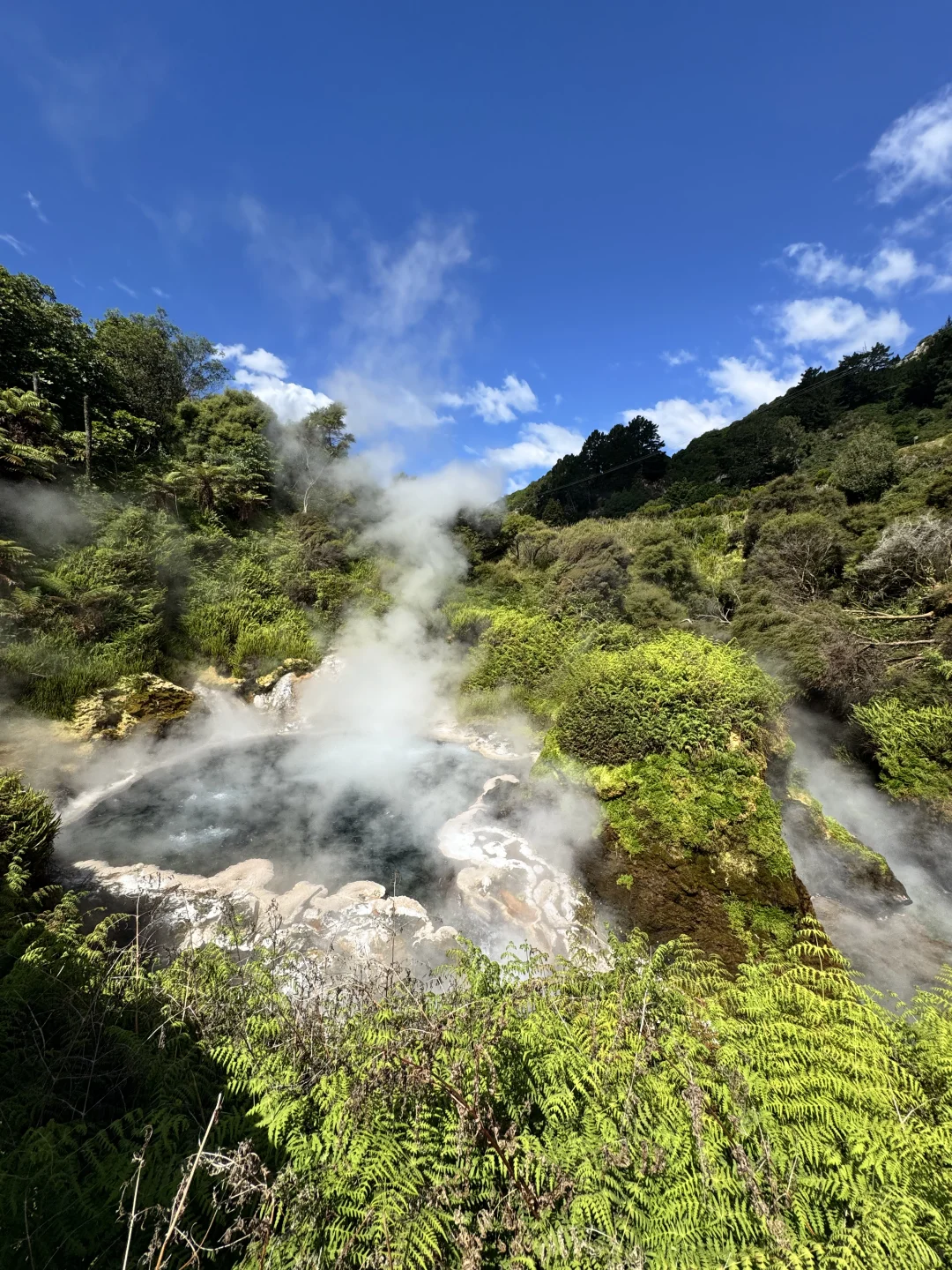 我在新西兰最喜欢的风景 (*ᴗ͈ˬᴗ͈)ꕤ*.ﾟ