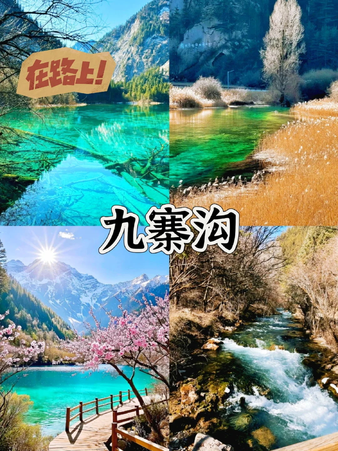 🌿 6-8月避暑天花板！4个自带空调的神仙
