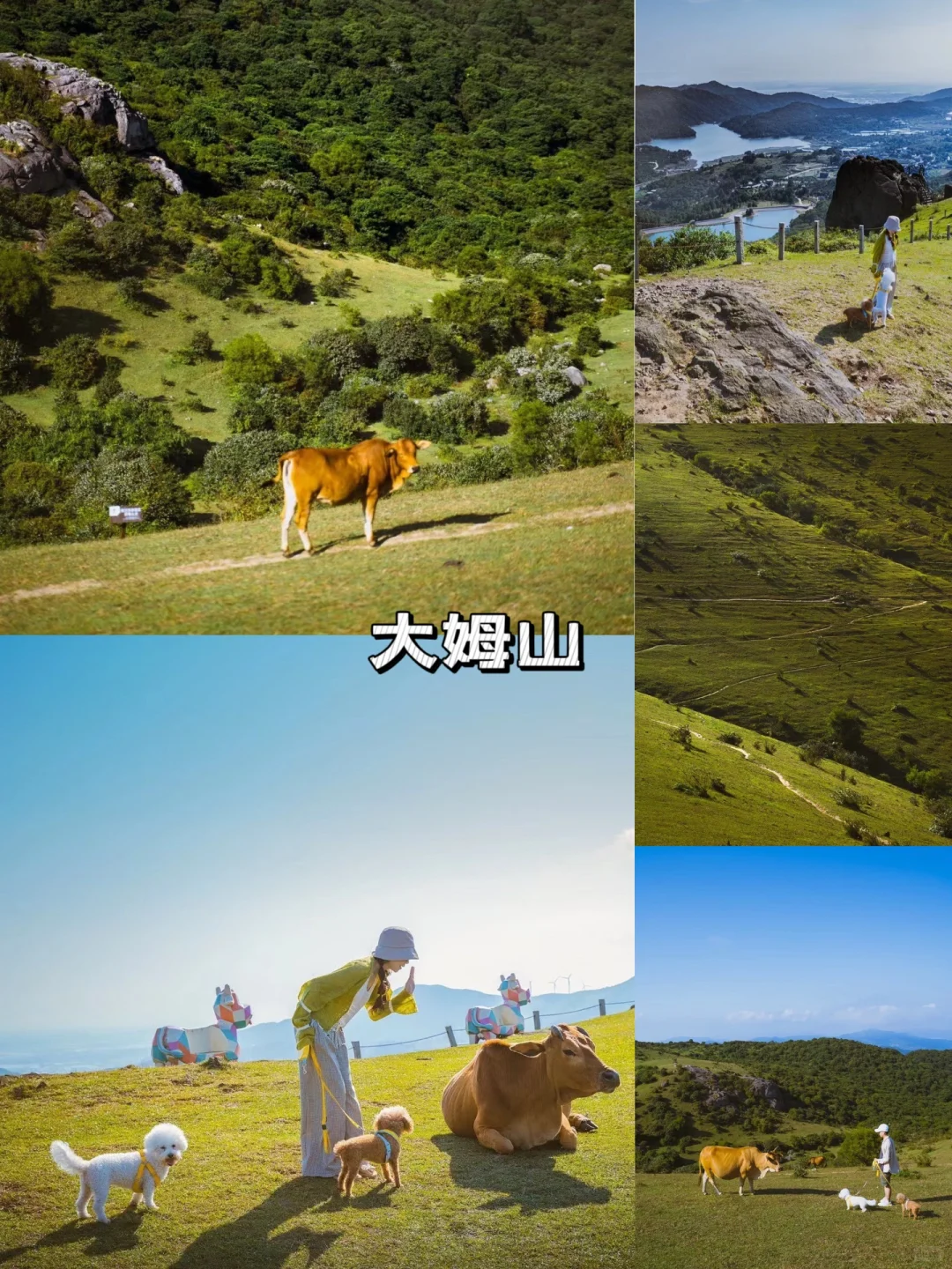 原来福建这么好拍又好玩！国庆7天都玩不够