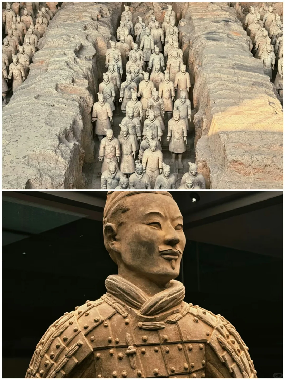 带娃出游宝地，适合带小朋友出游的7个地方‼️
