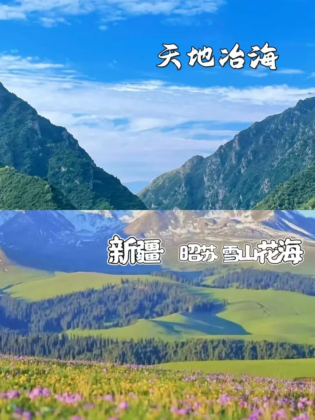 什么？这些小众打卡地竟是美景避暑天堂！