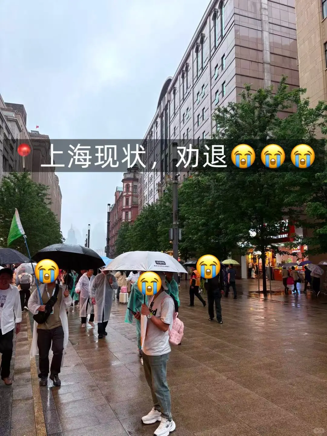 6.3📍上海已回，再也不听小红书乱说了