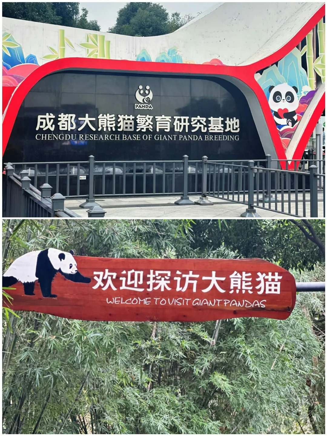 带娃出游宝地，适合带小朋友出游的7个地方‼️