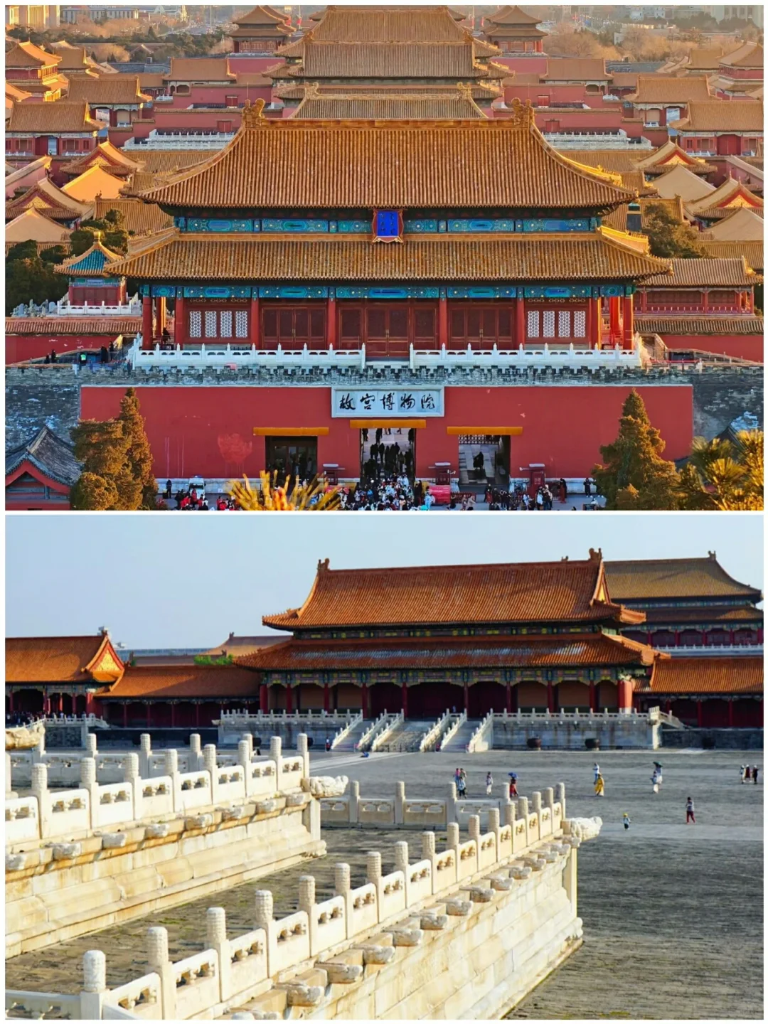 带娃出游宝地，适合带小朋友出游的7个地方‼️