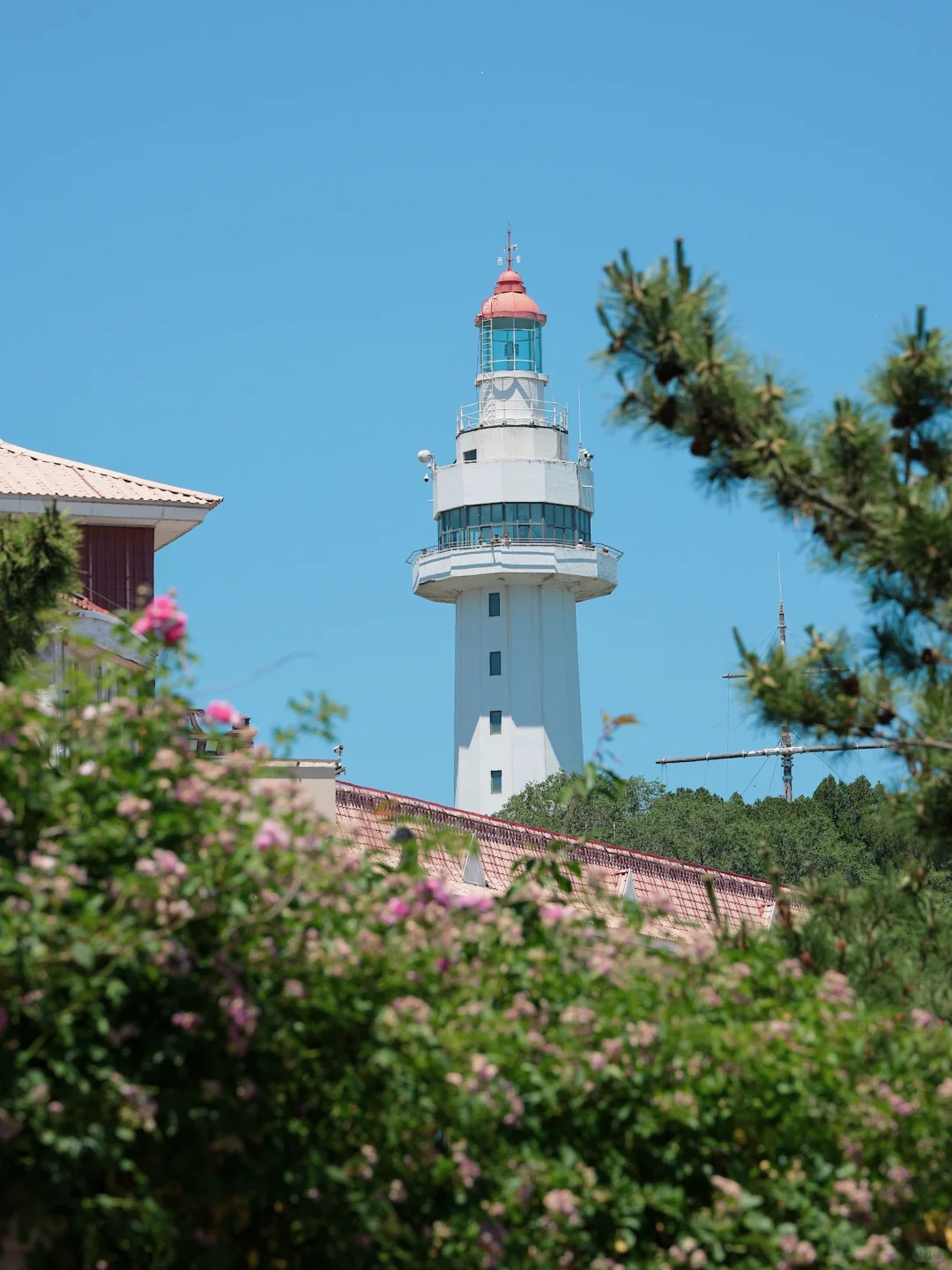 迄今为止…我最喜欢的海滨城市出现了～🌊