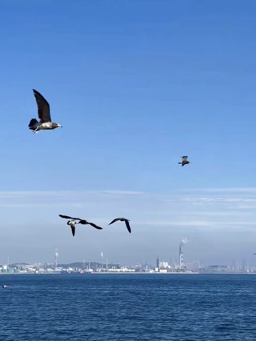 十一去大连一定要打卡的景点攻略🌊
