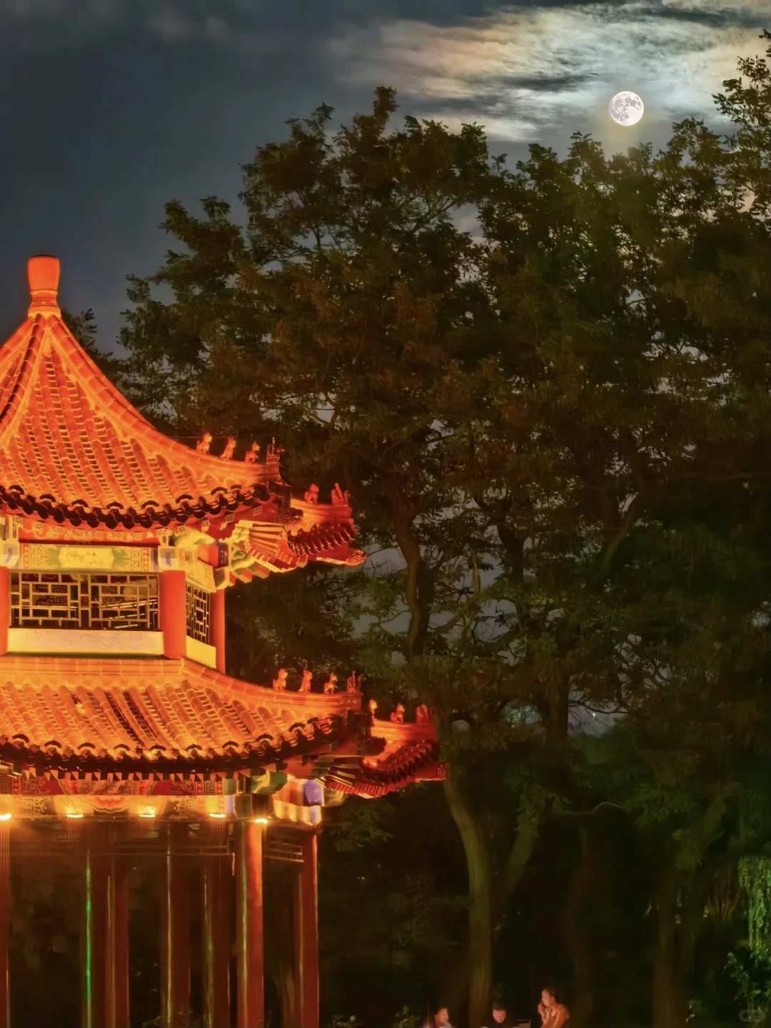 十一去大连一定要打卡的景点攻略🌊