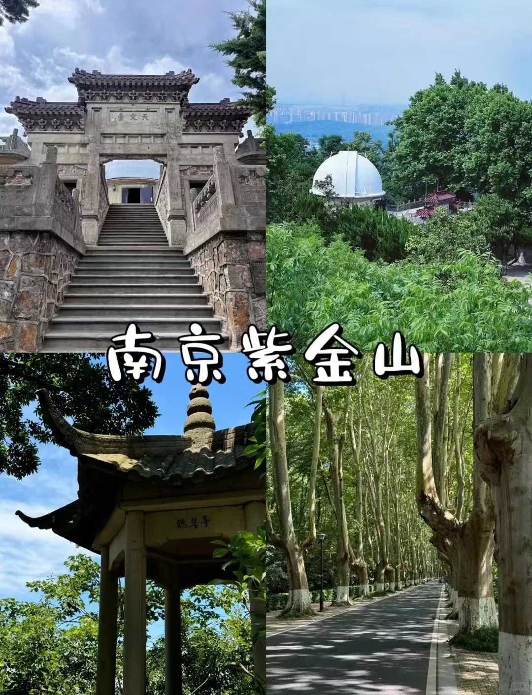 夏日避暑好去处，江浙沪避暑6大清凉胜地