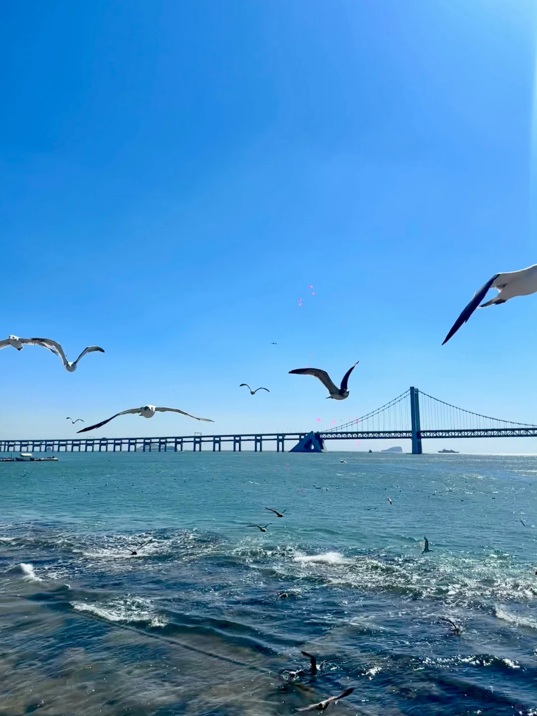 十一去大连一定要打卡的景点攻略🌊