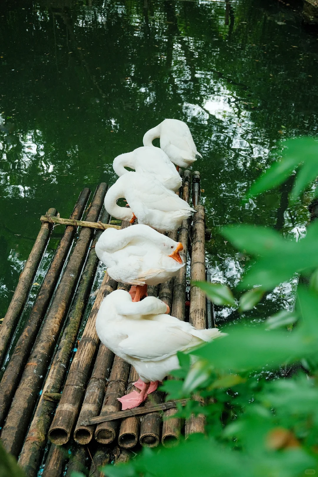迄今为止，我最喜欢的旅游城市出现了…