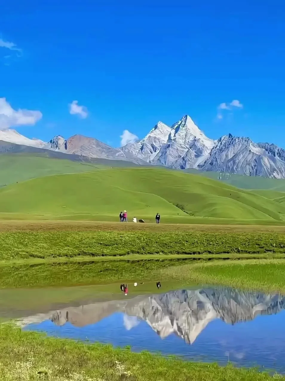 不在瑞士...6-8月的川西🏔️！真比瑞士还震撼