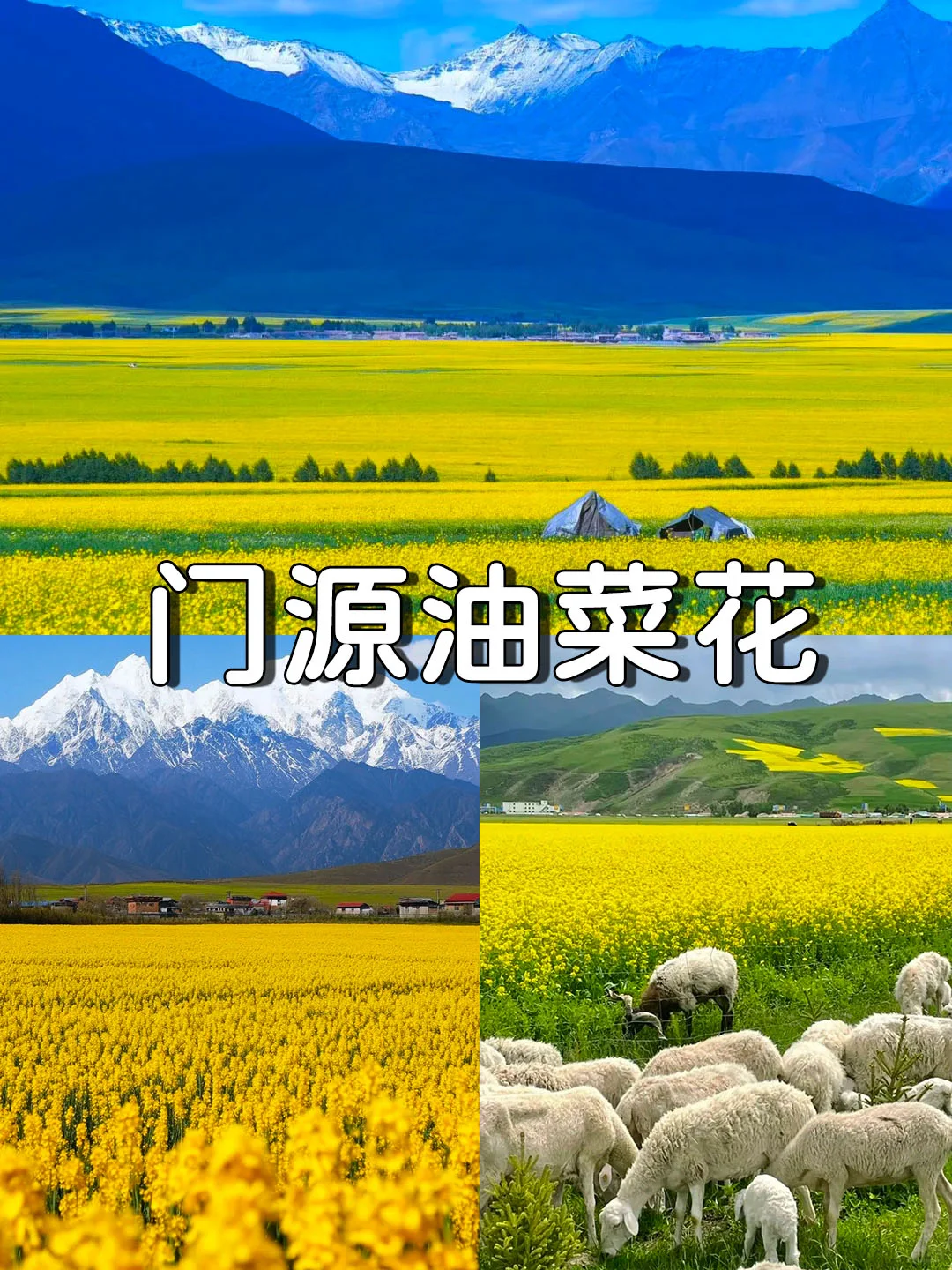 青海甘肃之旅，目睹地理书上的大西北⛰️