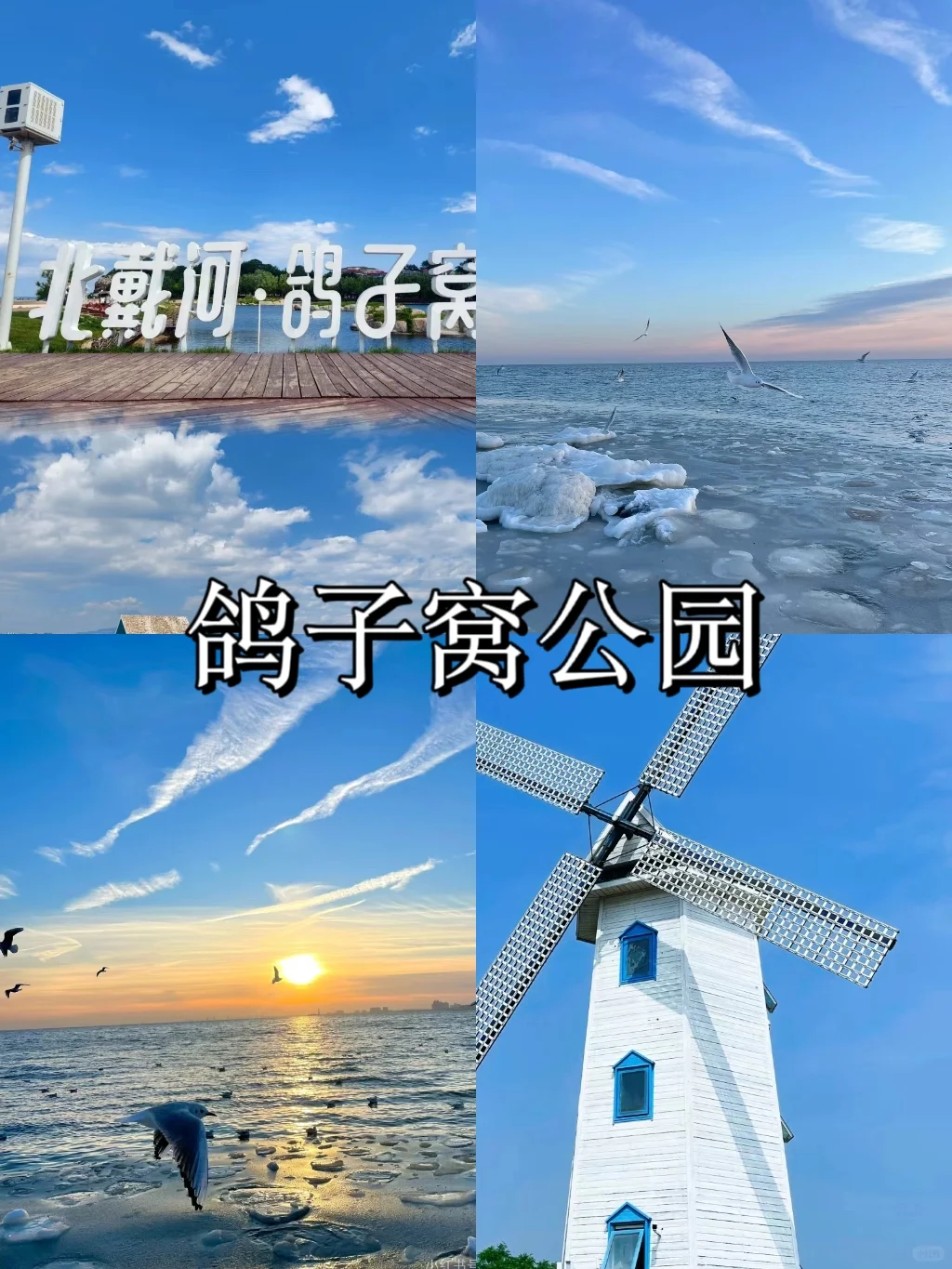 秦皇岛一定要去的 8 大打卡地❗