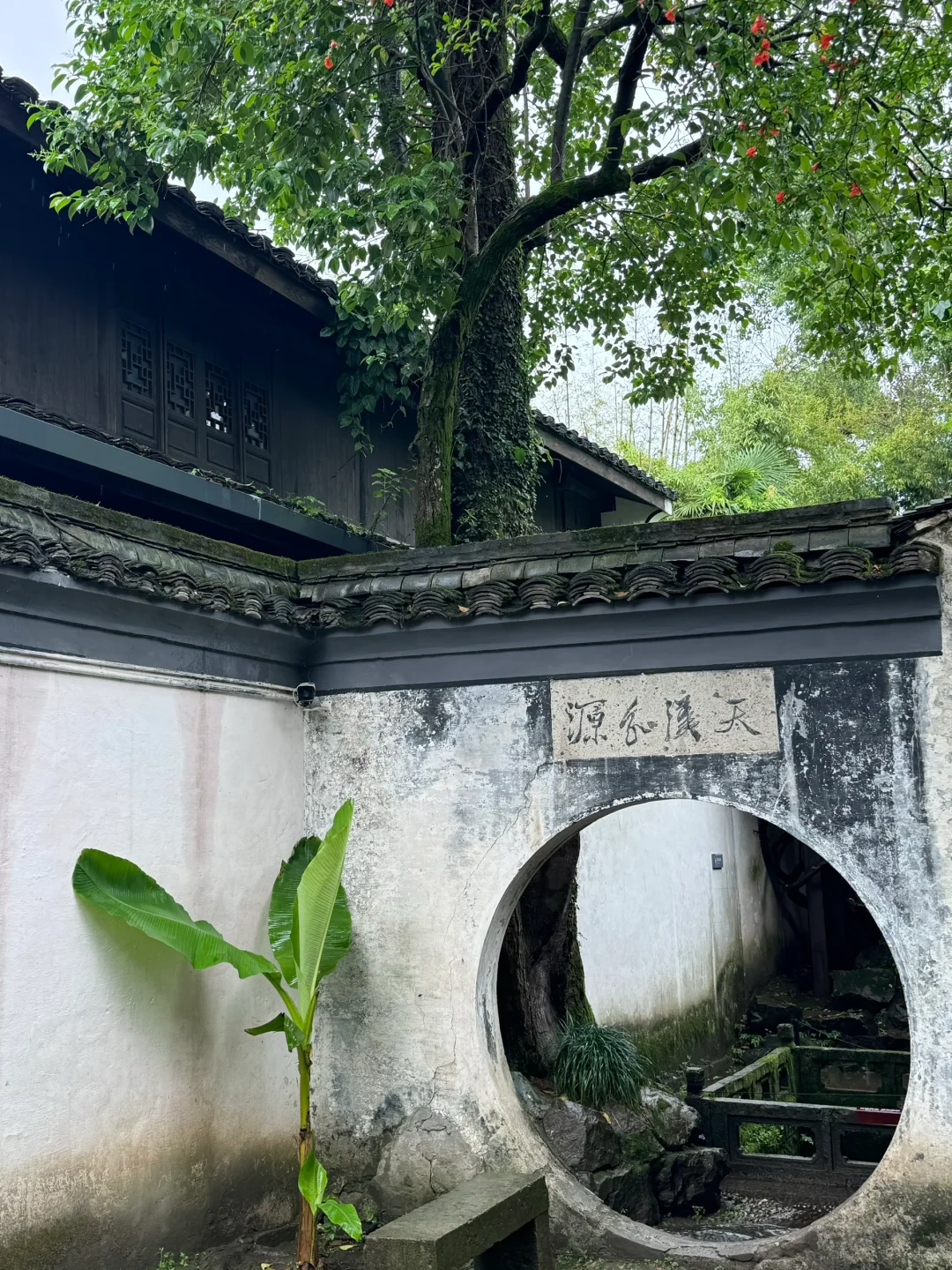 妈妈！原来诗里的烟雨江南长这样…🛶🌧️