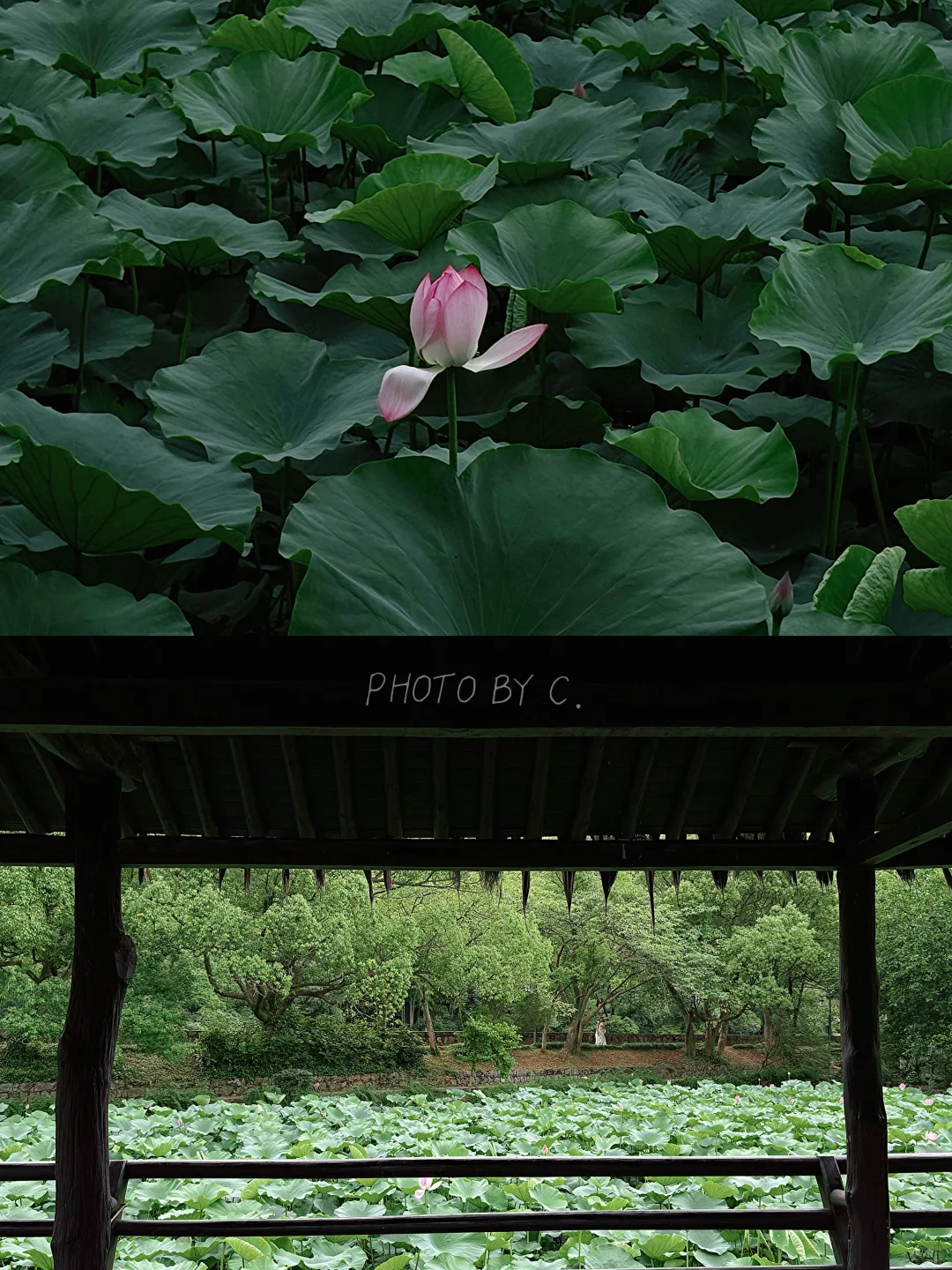 3.5小时极限游绍兴，从鲁迅故居到兰亭