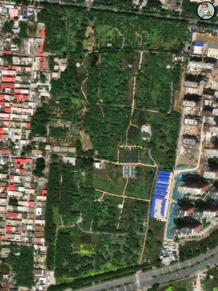 河北·邯郸📍丨这5个路线，为何超万人打卡？
