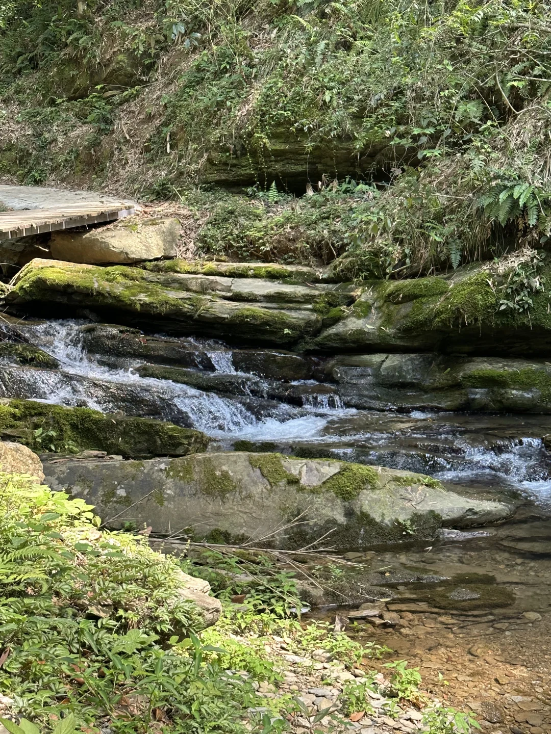 🌿景德镇秘境！本地人都不知道的仙人湖瀑布