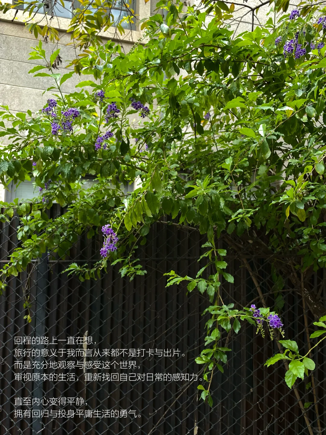 喜欢短暂逃离到陌生城市的自由感