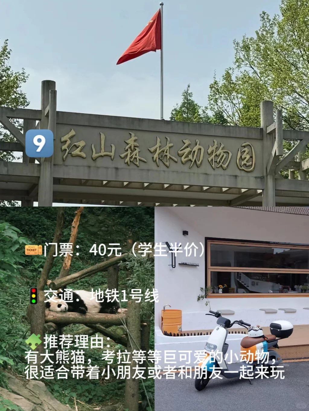 ❗️❗️暑假来南京必去九大景点推荐❗❗️