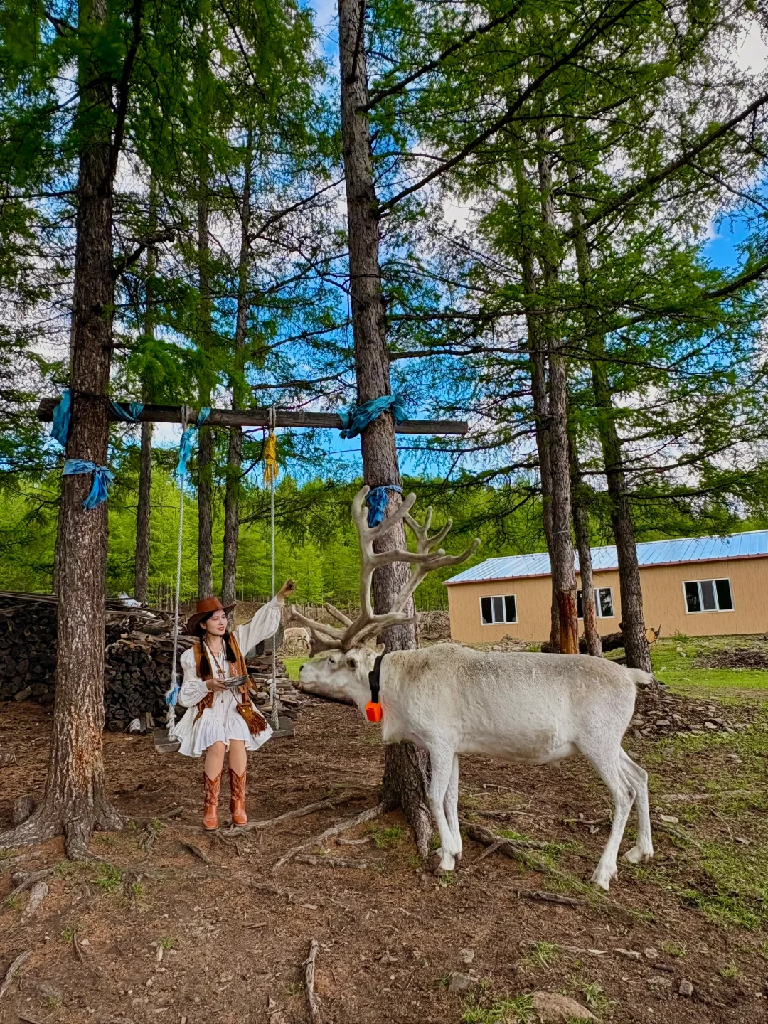 用18张live图打开呼伦贝尔的夏天，附路线🗺