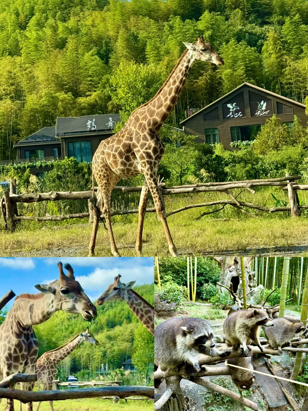 🌈湖州|6-8月淡季真香！人少景美攻略来啦