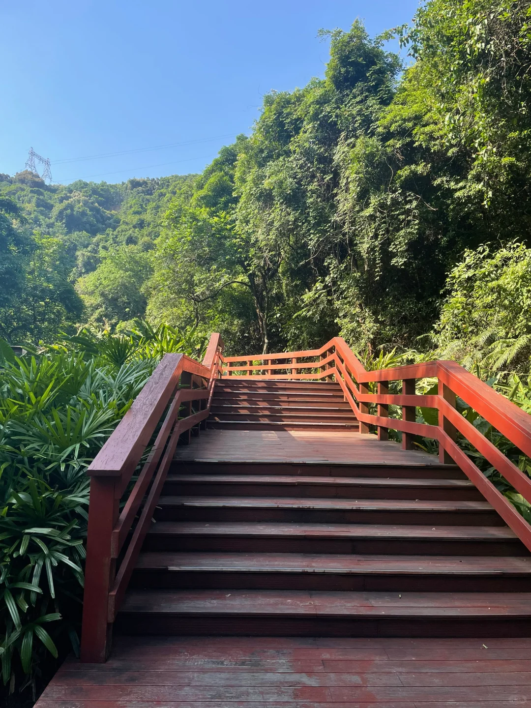 大自然～天然氧吧，专治“不开心”