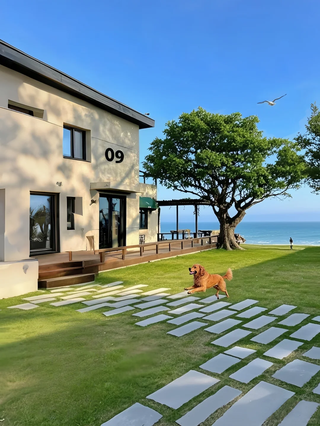 不是济州岛！是秦皇岛！210俩人😭海边小院