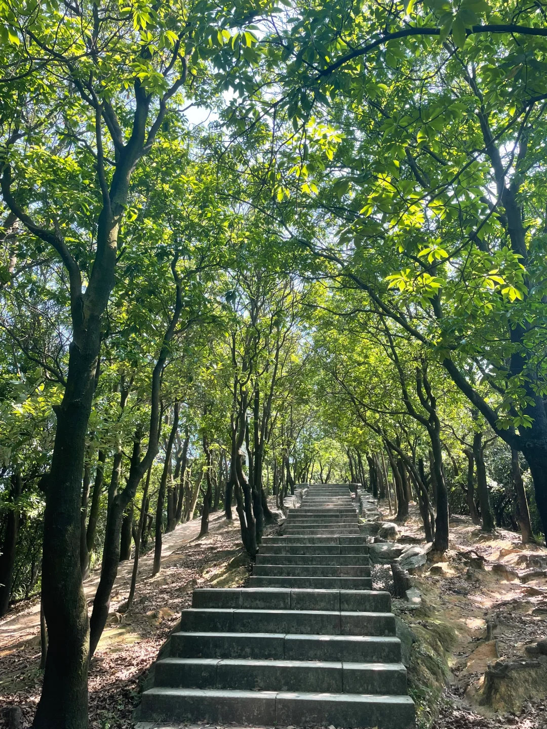 大自然～天然氧吧，专治“不开心”