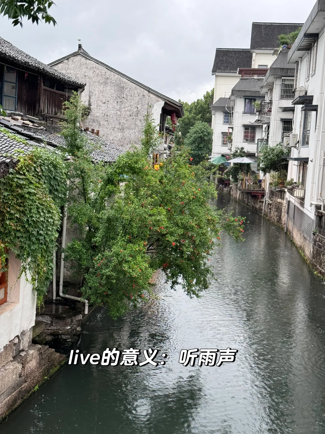 妈妈！原来诗里的烟雨江南长这样…🛶🌧️