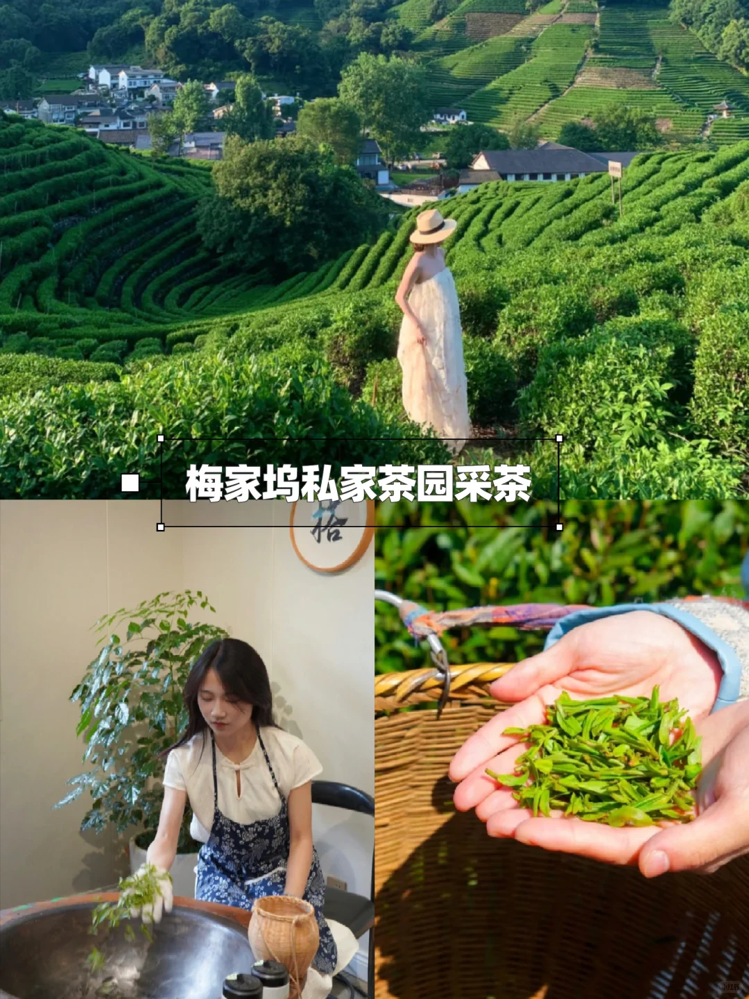 6-8月总要去趟江南吧！感受诗人笔下的苏杭