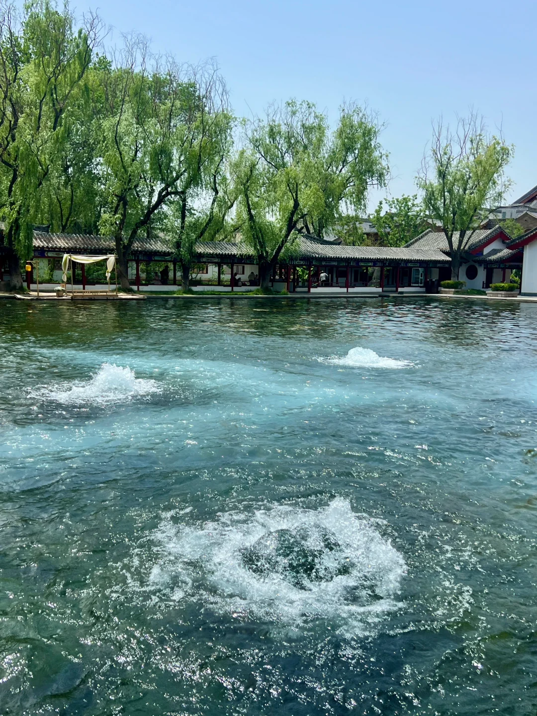 济南请你好好宣传这里❗️这水乡古城太美了!