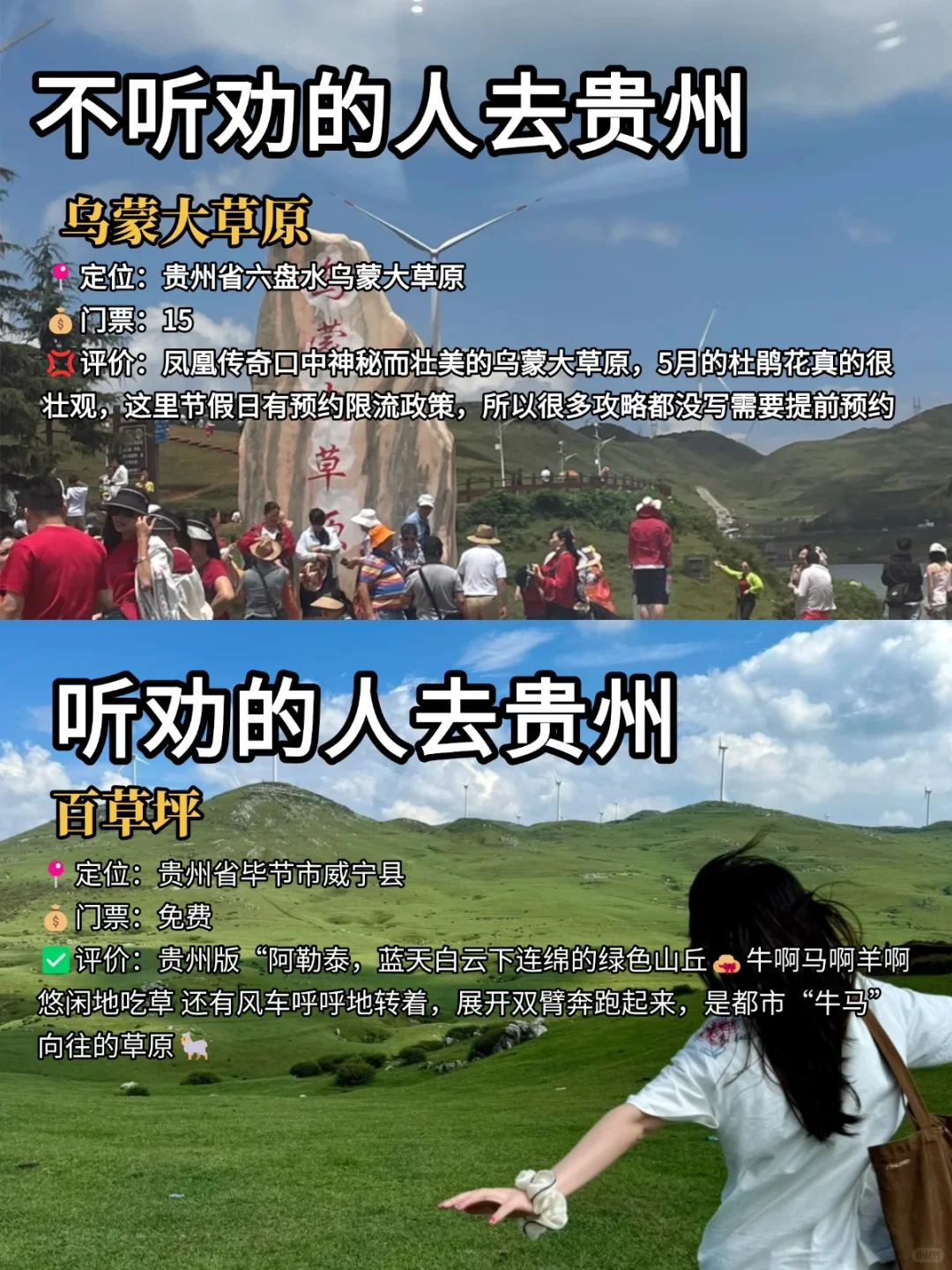 旅游旺季去贵州的必看‼️听劝🆚不听劝......