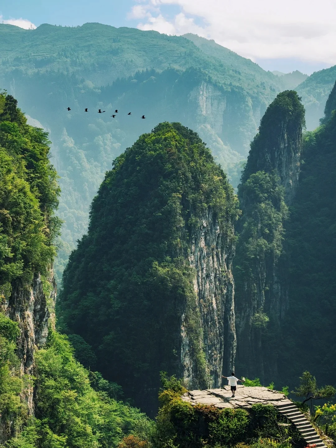 张家界5天4晚旅行攻略！保姆级！！