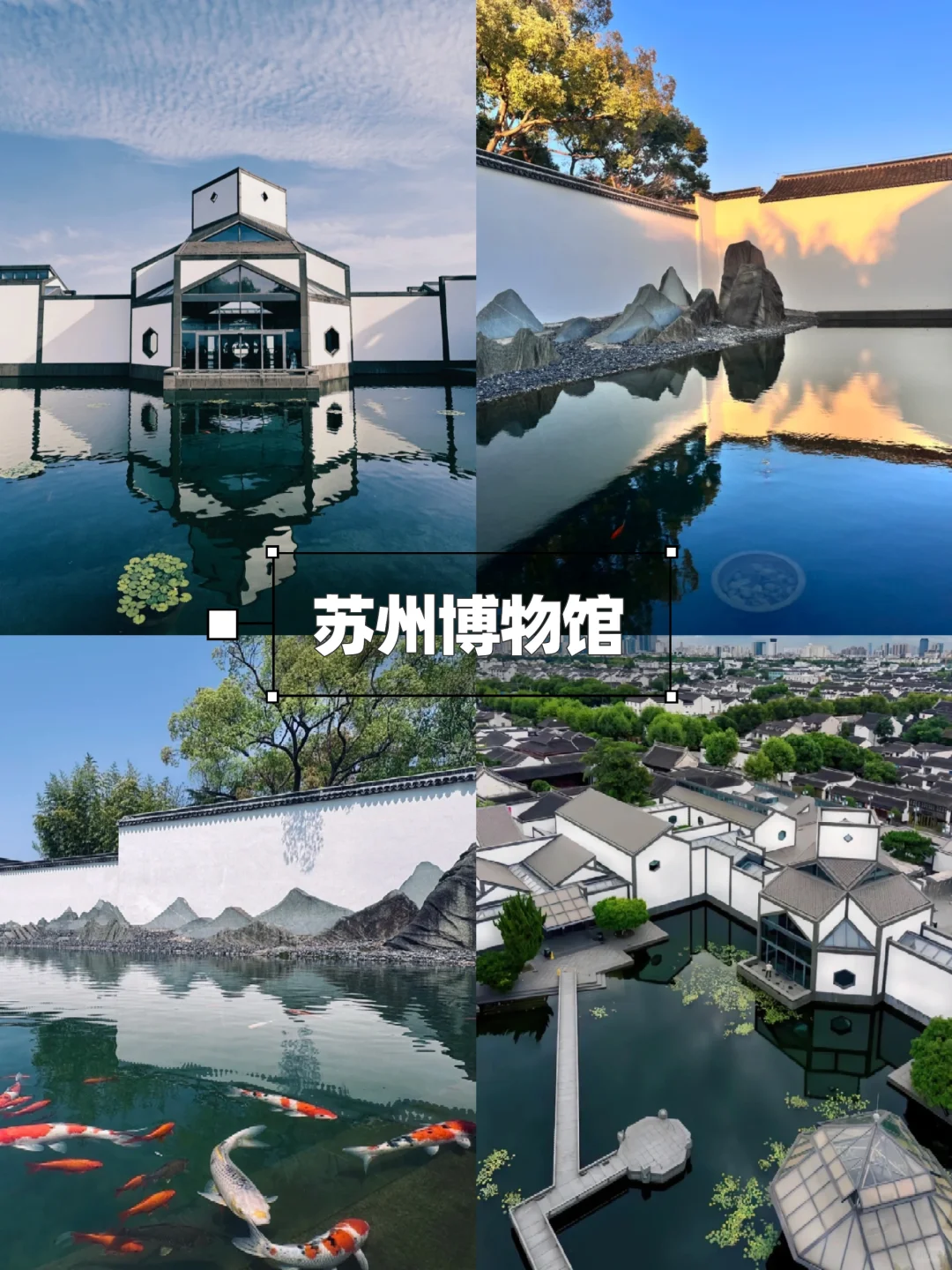 6-8月总要去趟江南吧！感受诗人笔下的苏杭