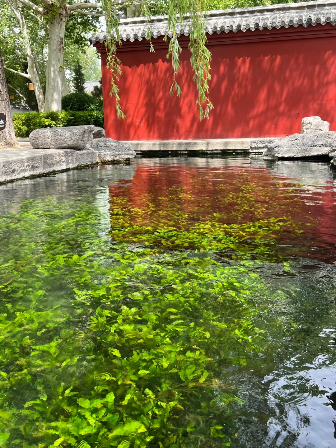 济南请你好好宣传这里❗️这水乡古城太美了!