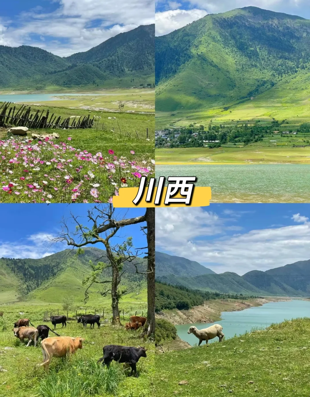 五一旅游必去的8个地方，人少景美性价比高✅
