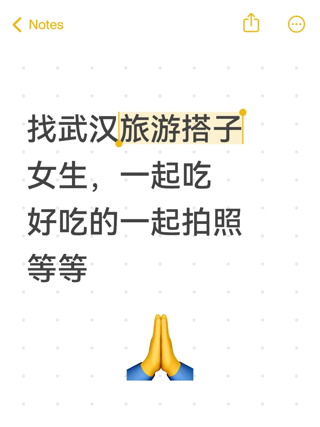 武汉旅游找搭子