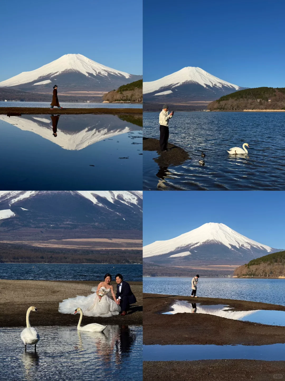 日本｜富士山🗻山中湖绝美粉色日出平野之浜